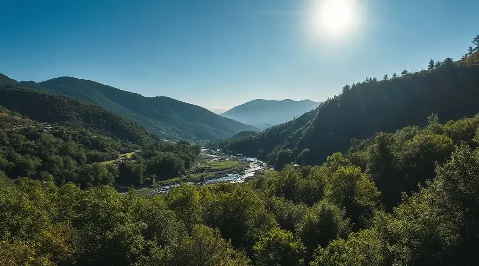 日の差す山あいを、細い川が流れていく風景（イメージ写真）