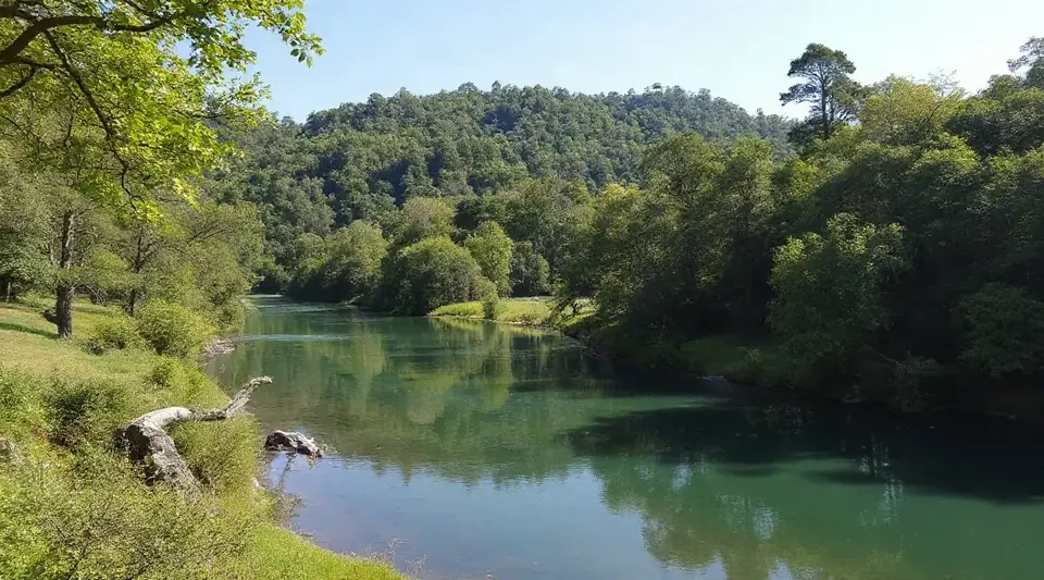 木々に囲まれた、静かな湖面の風景（イメージ写真）